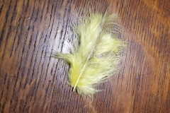 Sesame Street's Caroll Spinney (Gave me an actual Big Bird feather! To be treasured forever).